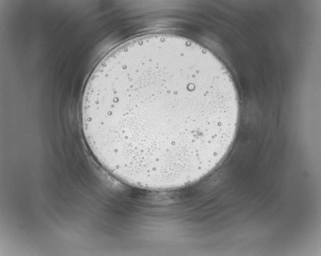 X0000062171338200512231616