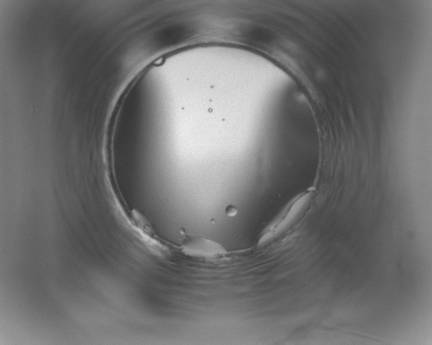 X0000062171339200512231616