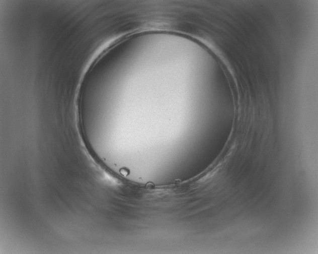 X0000062171341200512231616