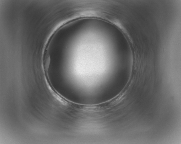 X0000062171342200512231616