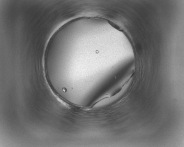 X0000062171343200512231616