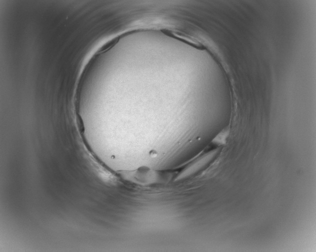 X0000062171344200512231616