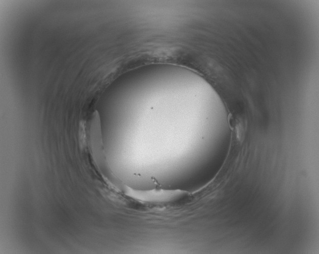 X0000062171347200512231615