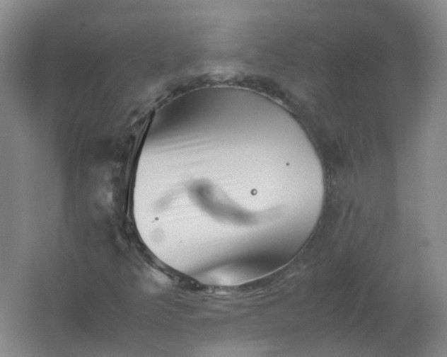 X0000062171349200512231615