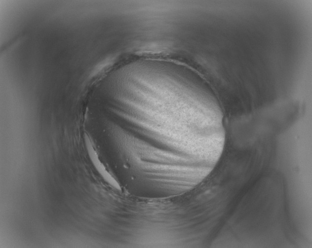 X0000062171350200512231615