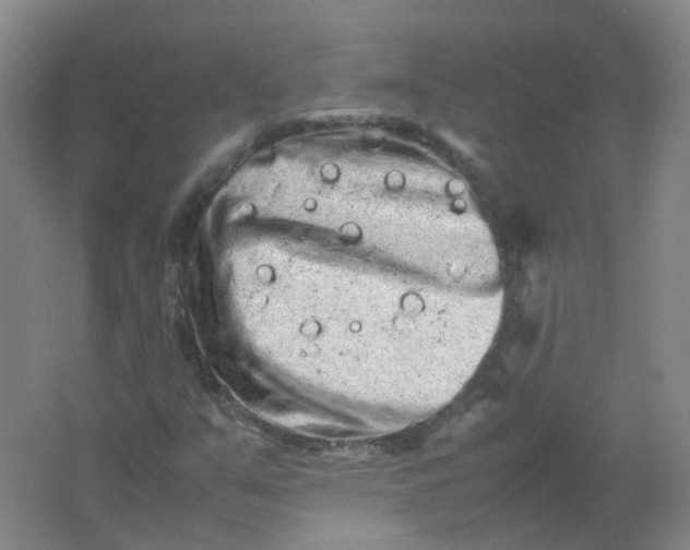 X0000062171351200512231615