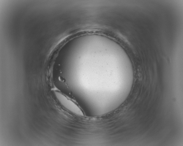 X0000062171352200512231615