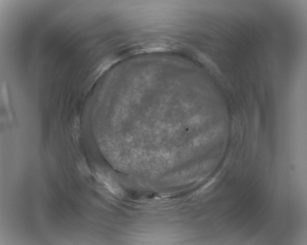 X0000062171353200512231615