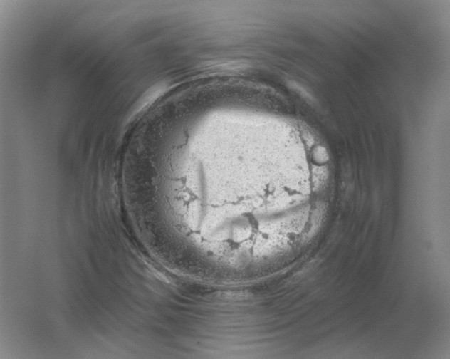 X0000062171354200512231615