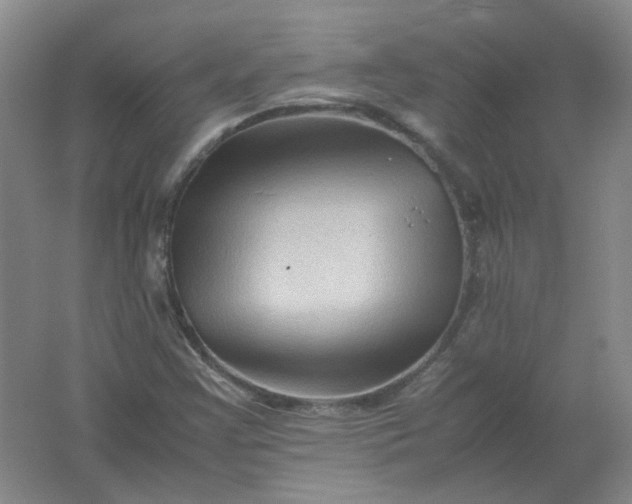 X0000062171355200512231615