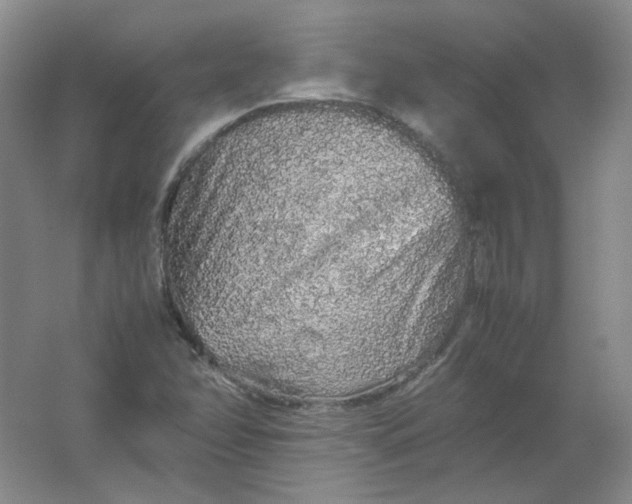 X0000062171358200512231615