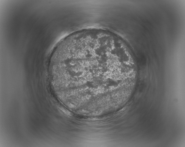 X0000062171359200512231615