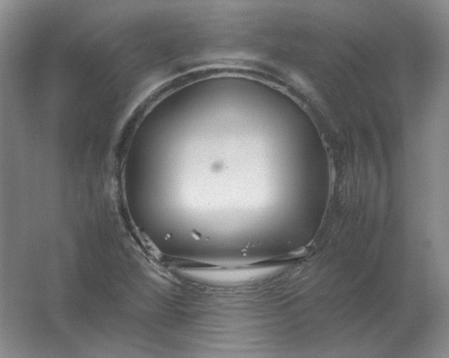 X0000062171360200512231615