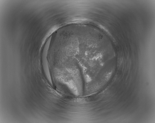 X0000062171362200512231615