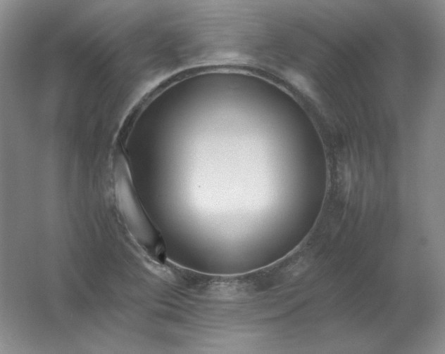 X0000062171364200512231615