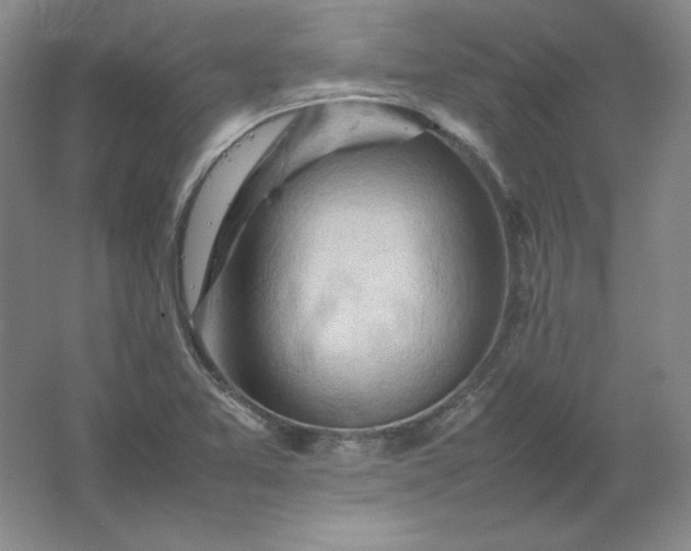 X0000062171365200512231615