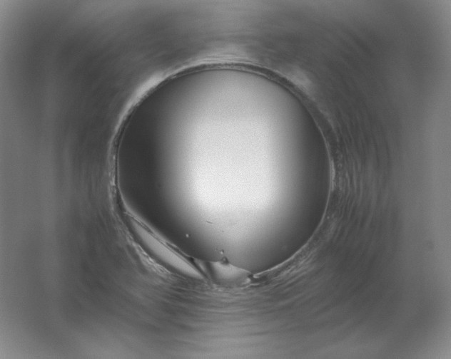 X0000062171366200512231615