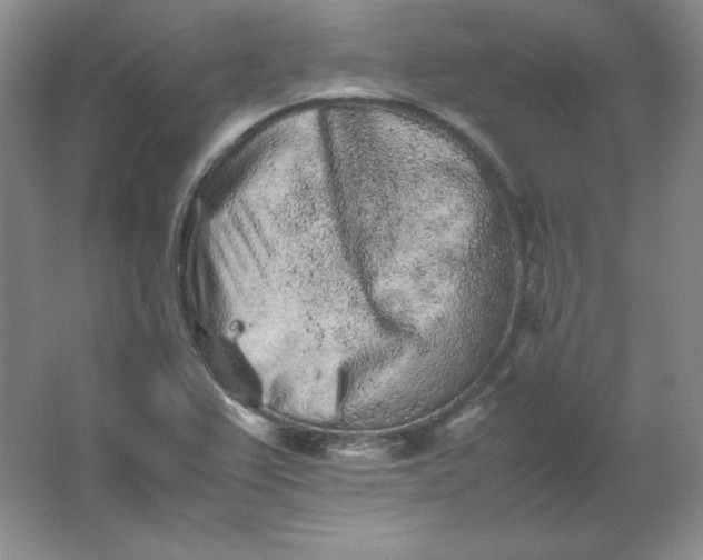 X0000062171367200512231615