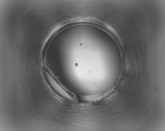 X0000062171368200512231614