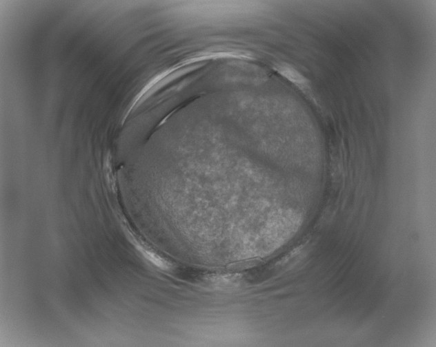 X0000062171369200512231614