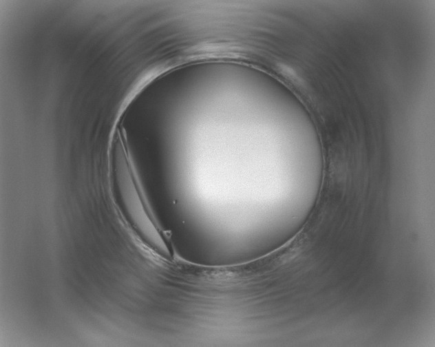 X0000062171370200512231614