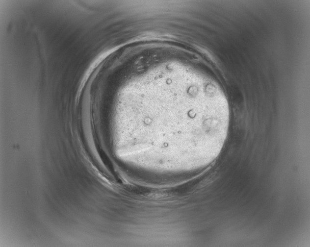 X0000062171371200512231614