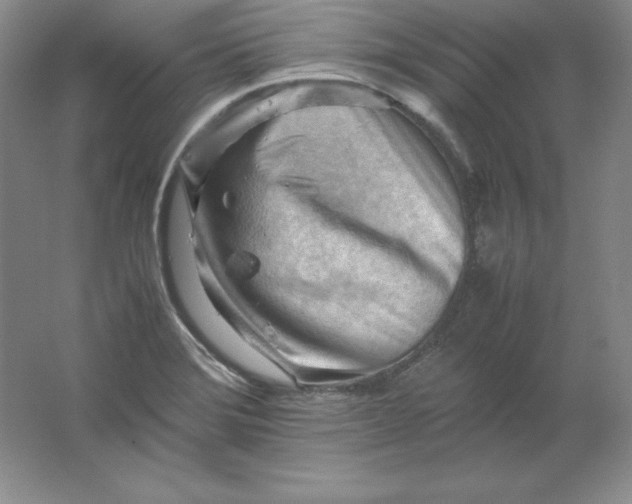 X0000062171372200512231614