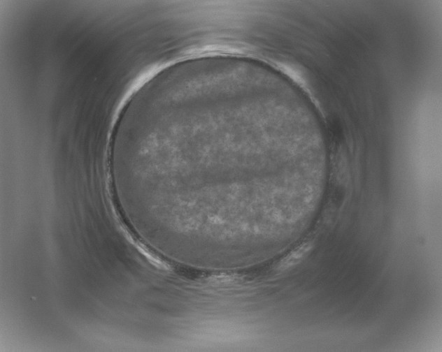 X0000062171373200512231614