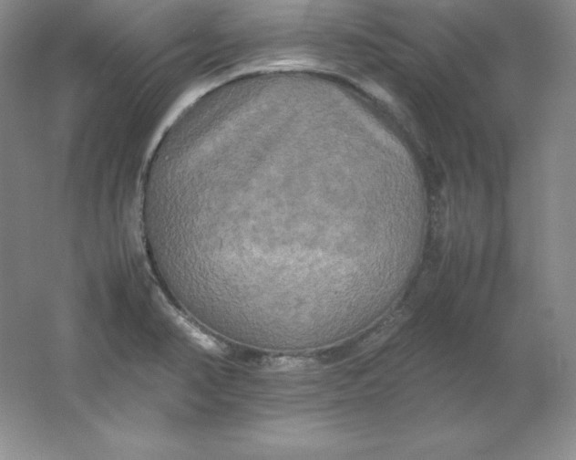 X0000062171374200512231614