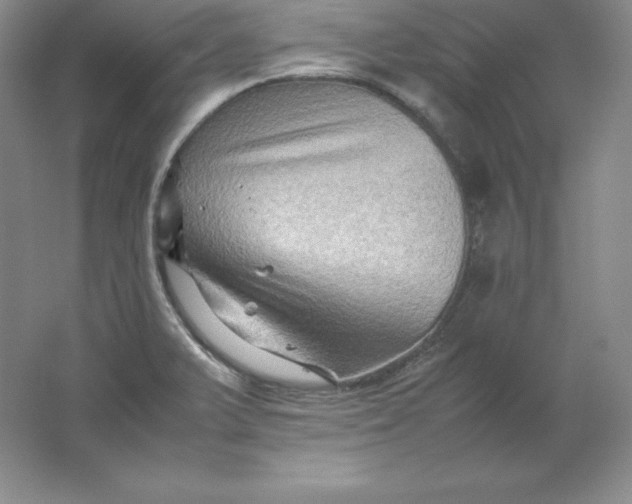 X0000062171375200512231614