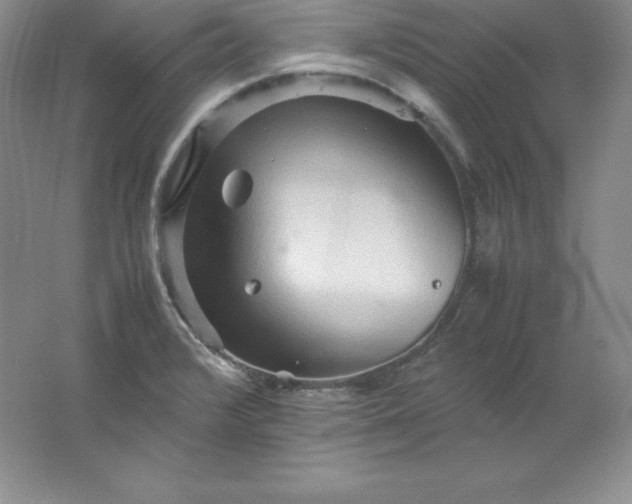 X0000062171376200512231614