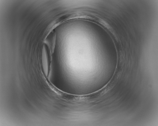 X0000062171377200512231614