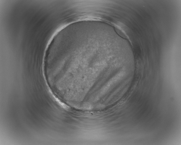 X0000062171379200512231614