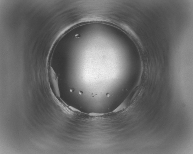 X0000062171380200512231614