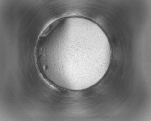 X0000062171382200512231614