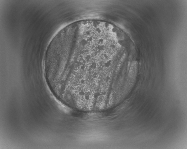 X0000062171383200512231614