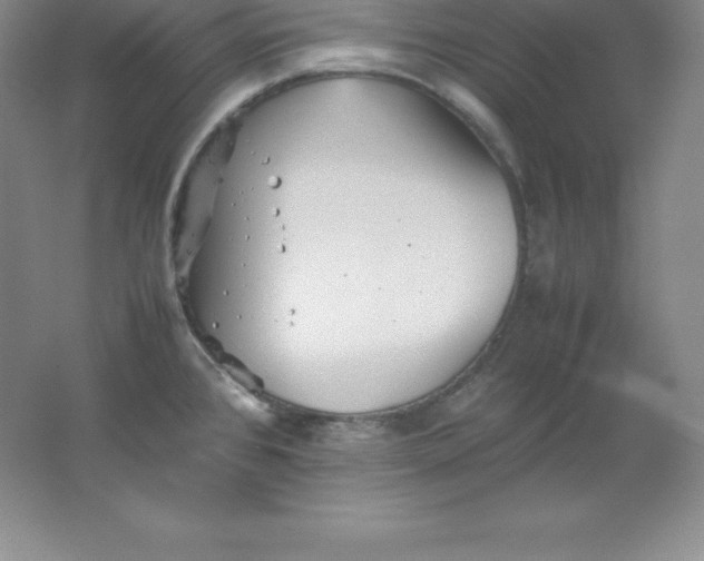 X0000062171384200512231614