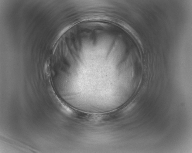 X0000062171385200512231614