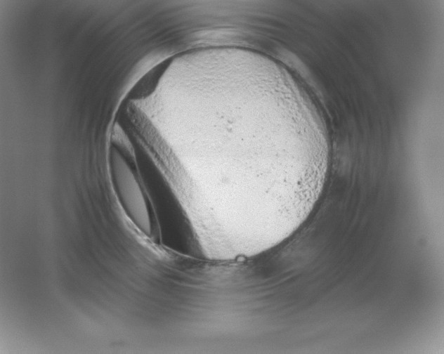 X0000062171386200512231614