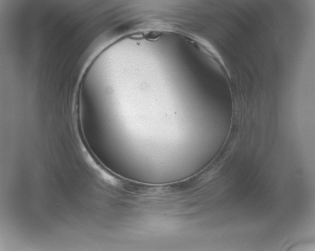 X0000062171387200512231614