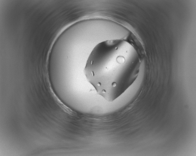 X0000062171388200512231614