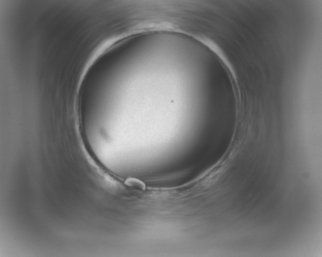 X0000062171389200512231614