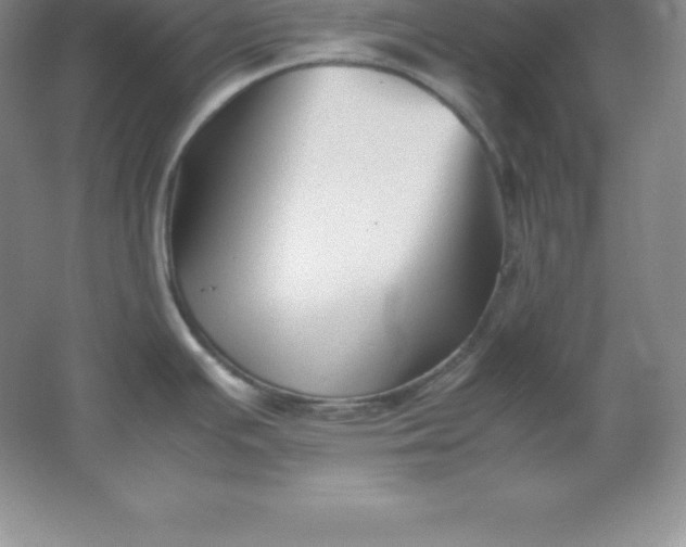 X0000062171391200512231614