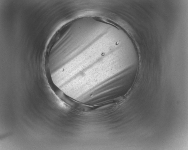 X0000062171392200512231614