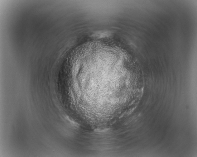 X0000062171393200512231613