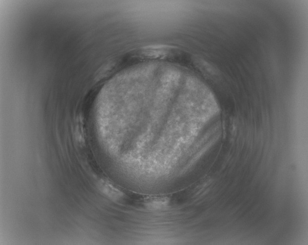 X0000062171394200512231613