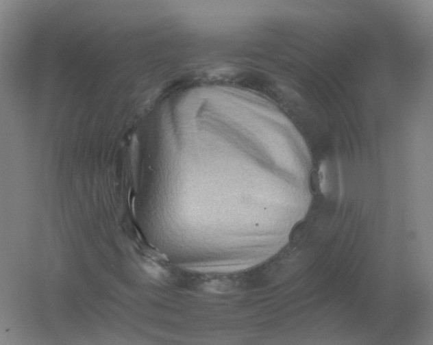 X0000062171395200512231613