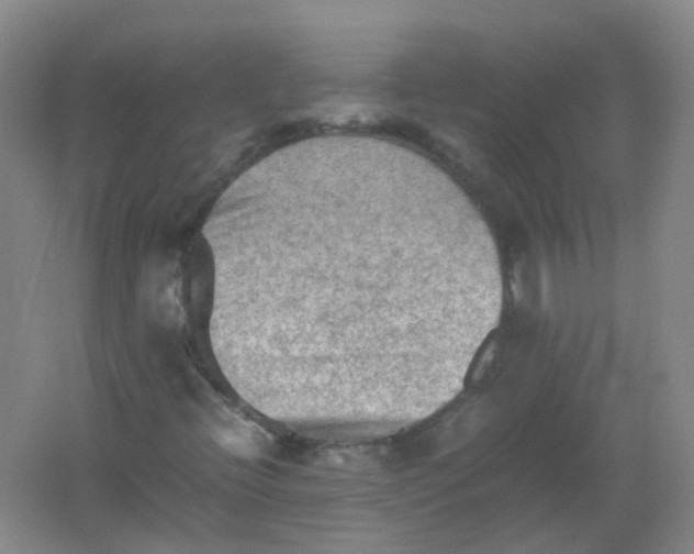 X0000062171396200512231613