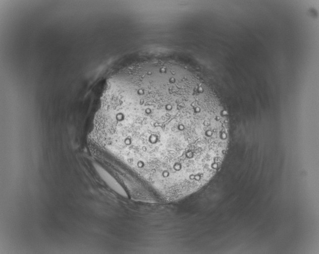 X0000062171397200512231613