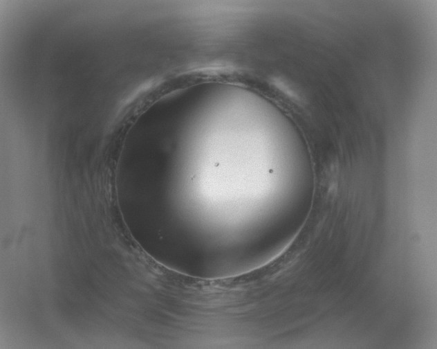 X0000062171398200512231613